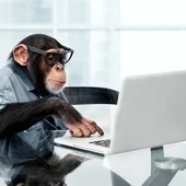 A chimpanzee in spectacles and a blue shirt is sitting by a laptop.  